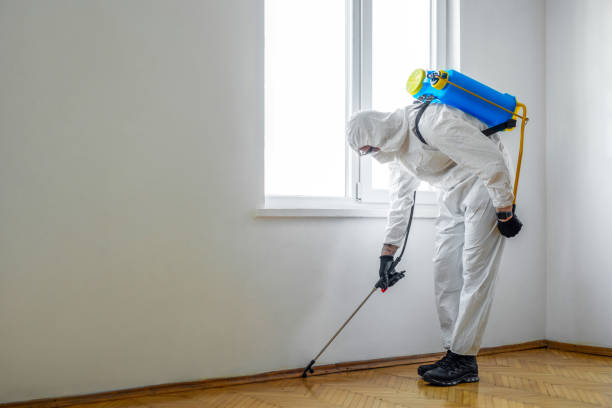 Best Best Pest Control Companies  in Lavon, TX